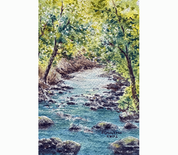 "Natures Canopy" - Julie Creighton